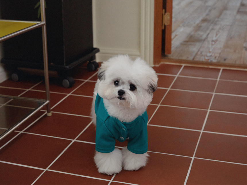 Mallow Cardigan(2color)