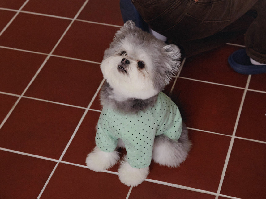 PICCOLO DOT TOP (4color)