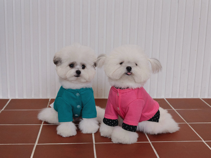 PICCOLO DOT TOP (4color)