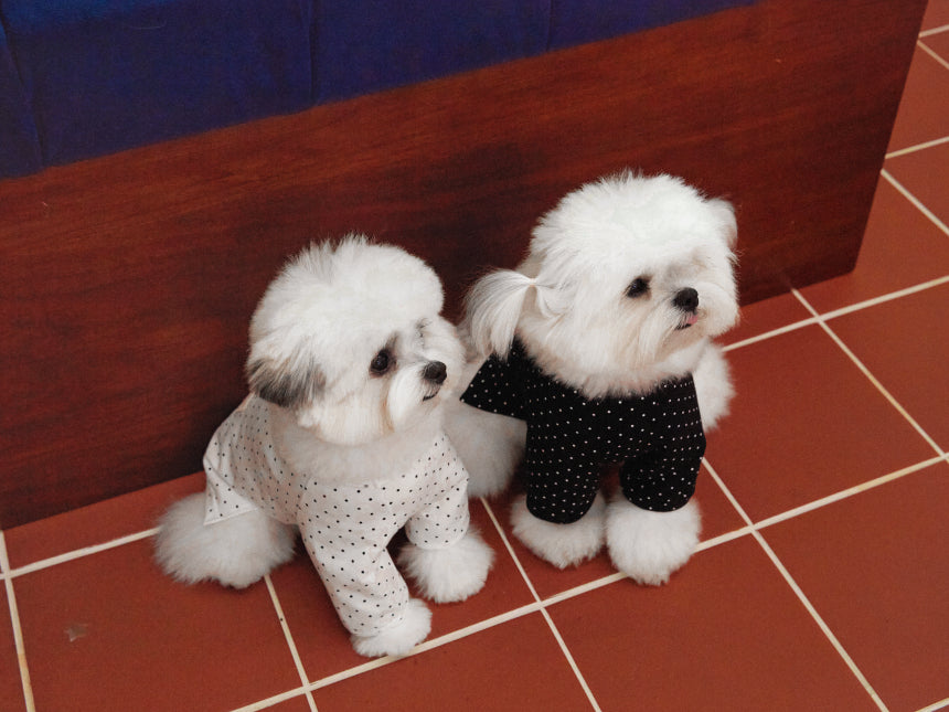 PICCOLO DOT TOP (4color)