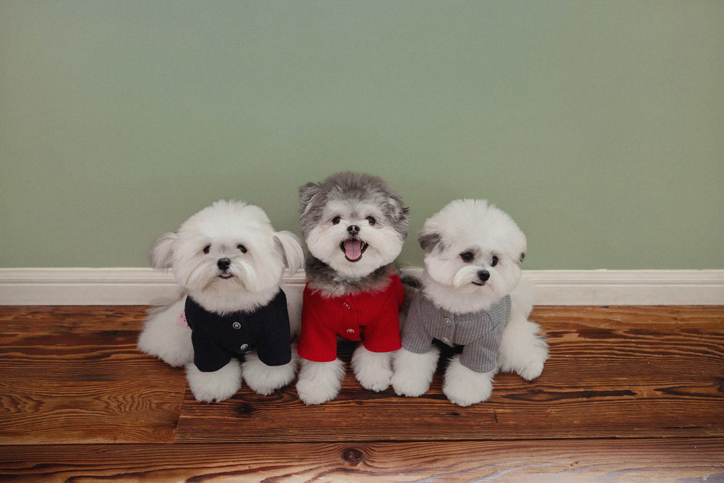 TORINO RIB CARDIGAN(3color)