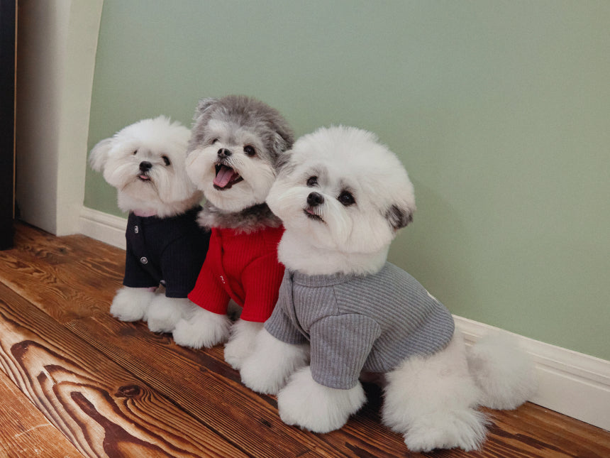 TORINO RIB CARDIGAN(3color)
