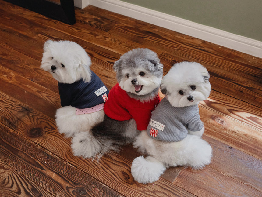 TORINO RIB CARDIGAN(3color)