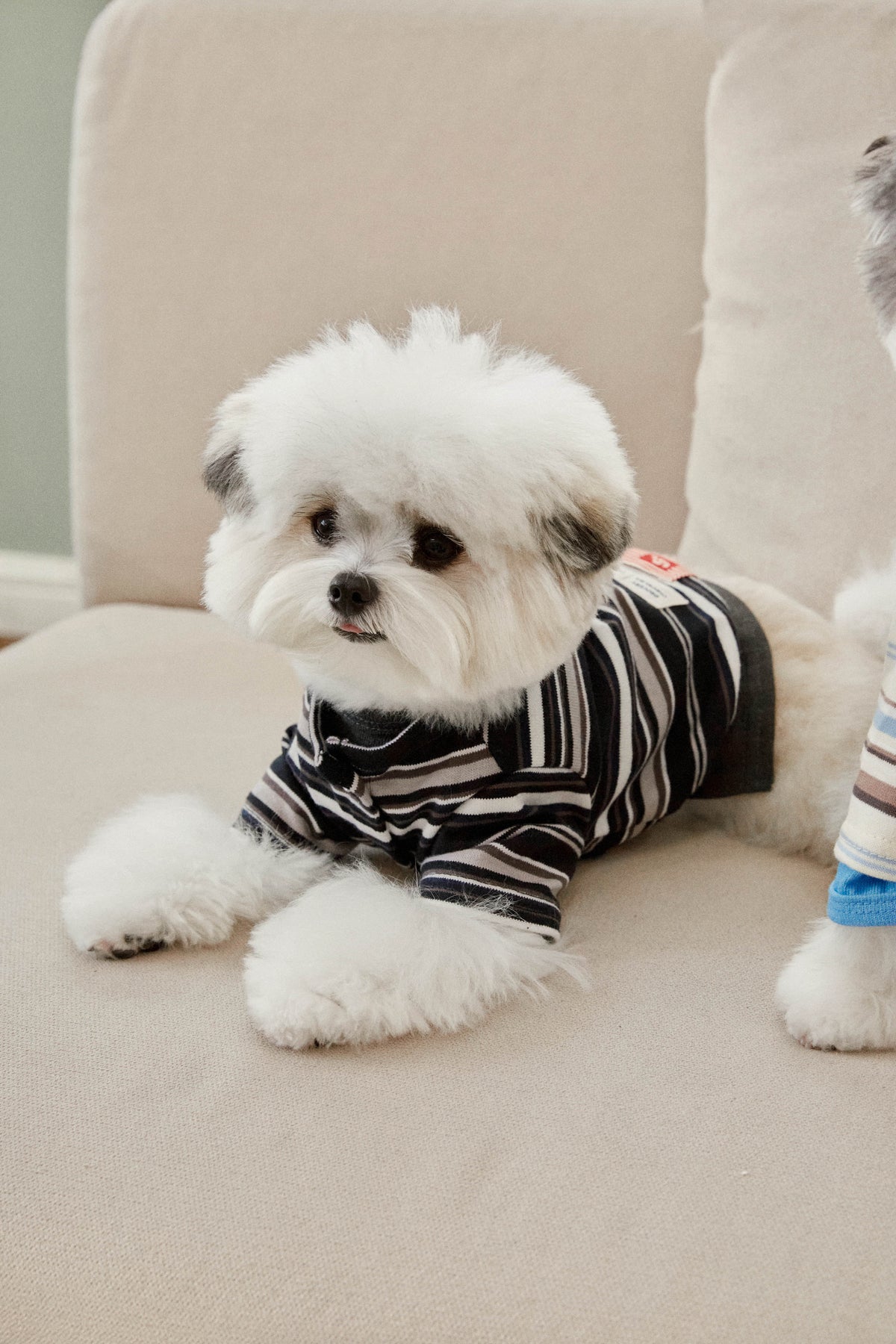 RIVIERA STRIPE CARDIGAN(2color)