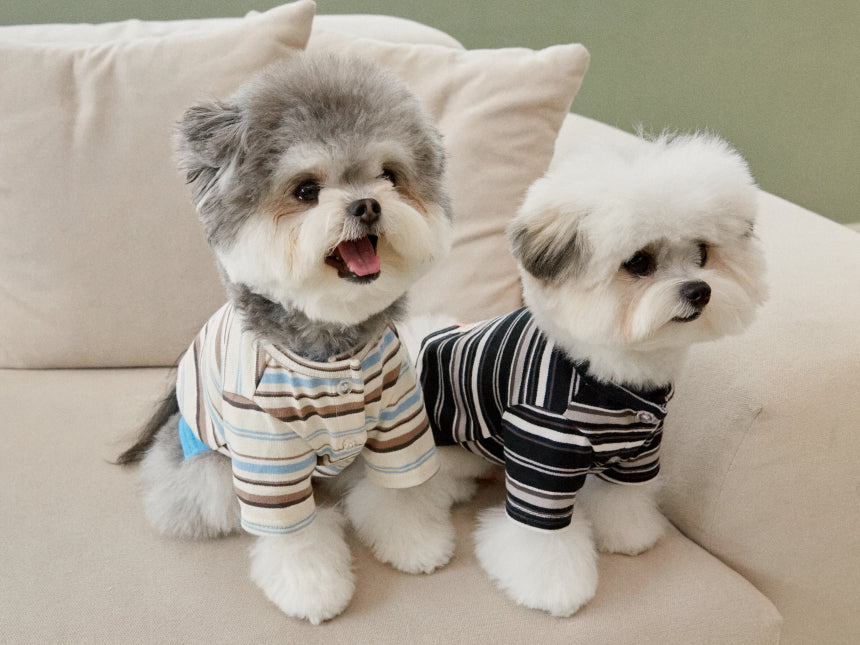 RIVIERA STRIPE CARDIGAN(2color)