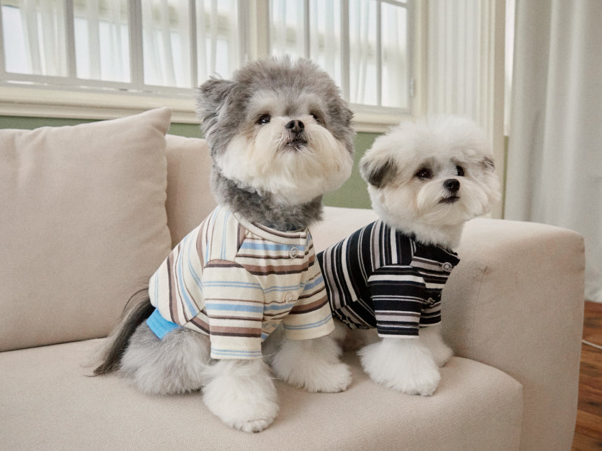 RIVIERA STRIPE CARDIGAN(2color)