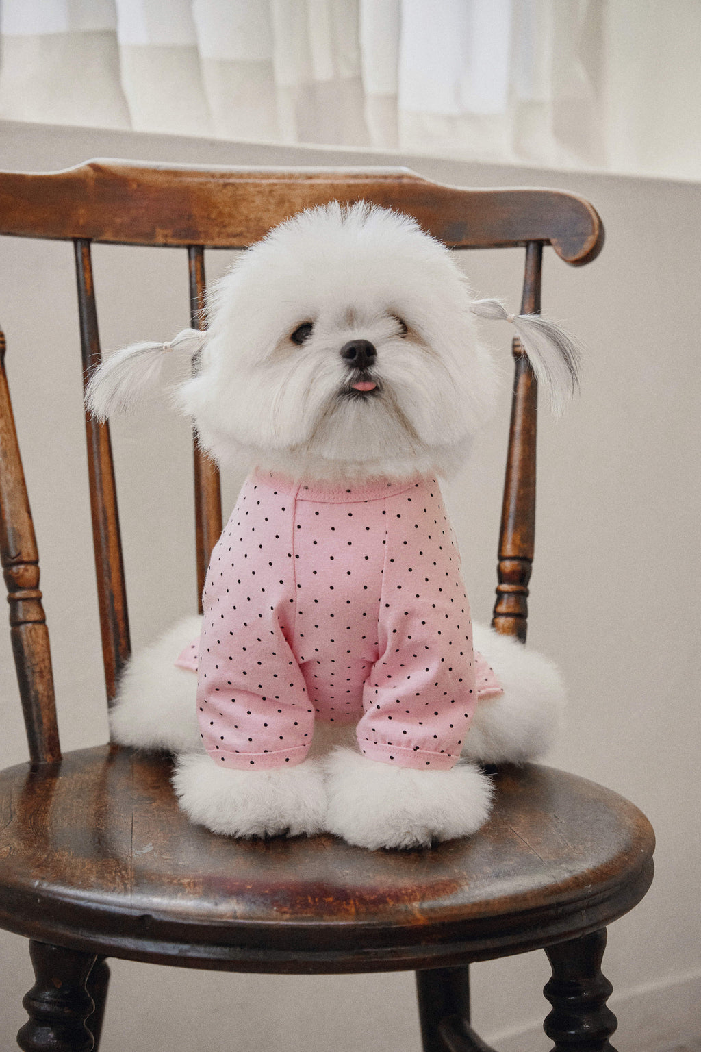 PICCOLO DOT TOP (4color)