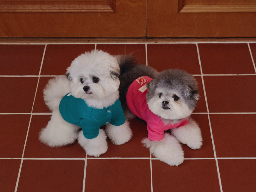 Mallow Cardigan(2color)
